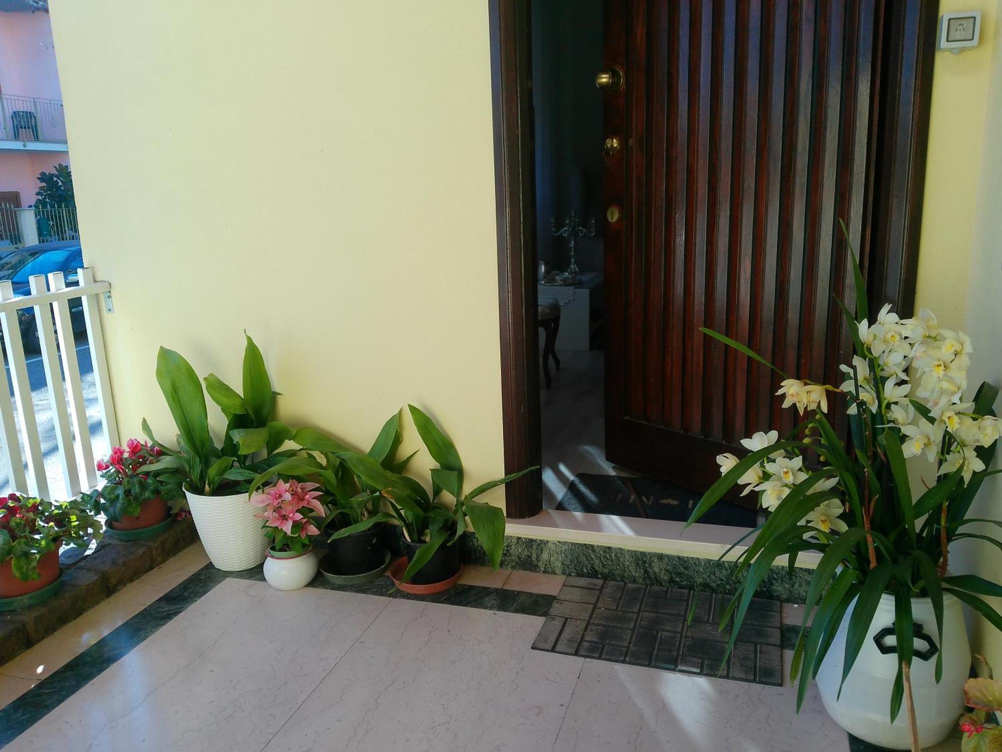 Cappuccini Apartments 奥里斯塔诺 外观 照片